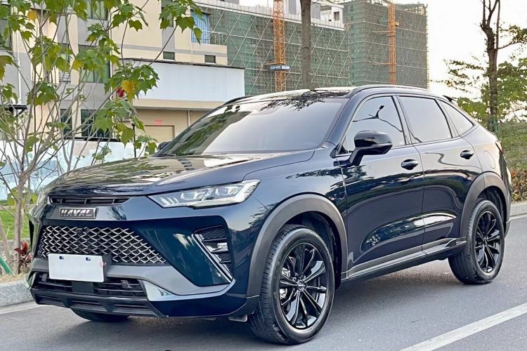 Used Haval H6S 2022 2.0T Two-Wheel Drive ZhiRun Version