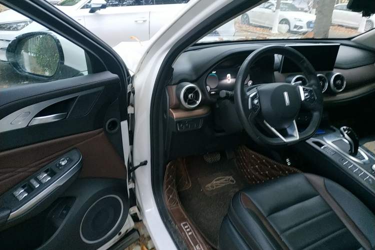 Used Wey VV5 2020 1.5T Two-Wheel Drive Smart Pioneer
