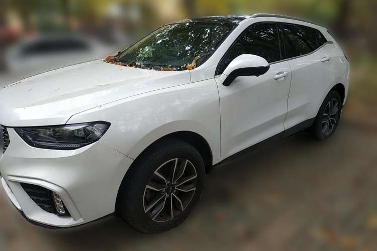 Used Wey VV5 2020 1.5T Two-Wheel Drive Smart Pioneer