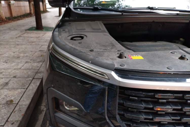 Used Baojun 530 2021 Global Car Anniversary Edition 1.5T CVT Prestige Connected Model 5 Seats
