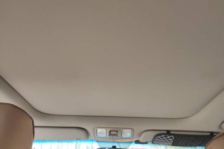Used Kia 2013 2.0L 7-Seater Automatic Standard Version China IV Standard
