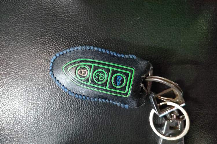 Used Leopaard CS9 2017 1.5L CVT Comfort Model