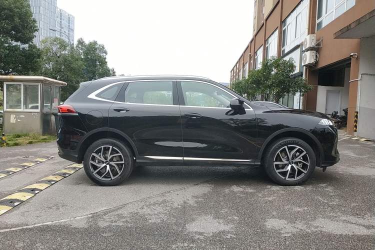 Used Wey Latte DHT-PHEV 2022 1.5T Two-Wheel-Drive Extra-Large Version