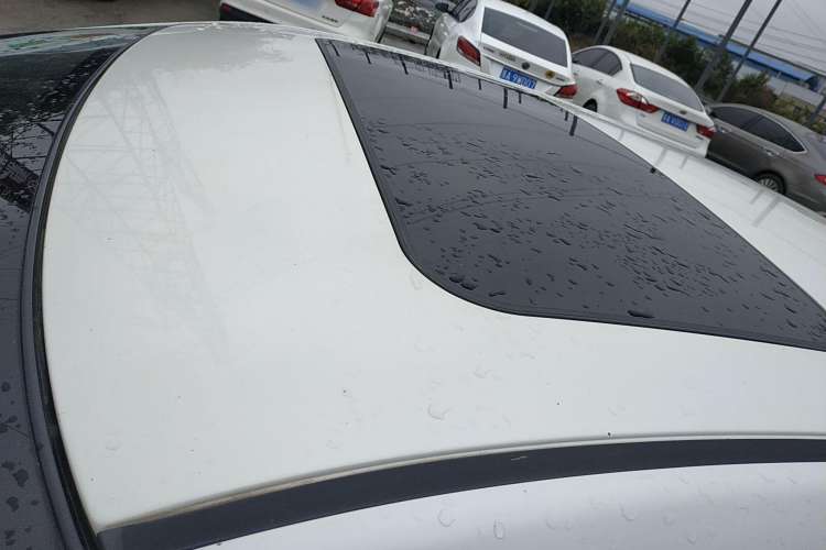 Used Venucia D60 2019 100 000 Glory 1.6L XL Manual Chenku Edition China VI
