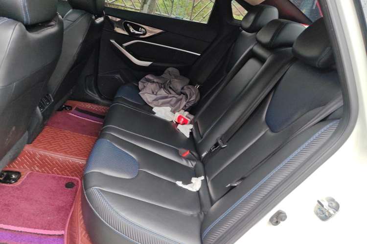 Used Venucia D60EV 2019 High-Range Deluxe Edition