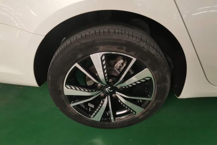 Used Rising ER6 2021 New Dynamic Edition 620km Smart Enjoyment Version