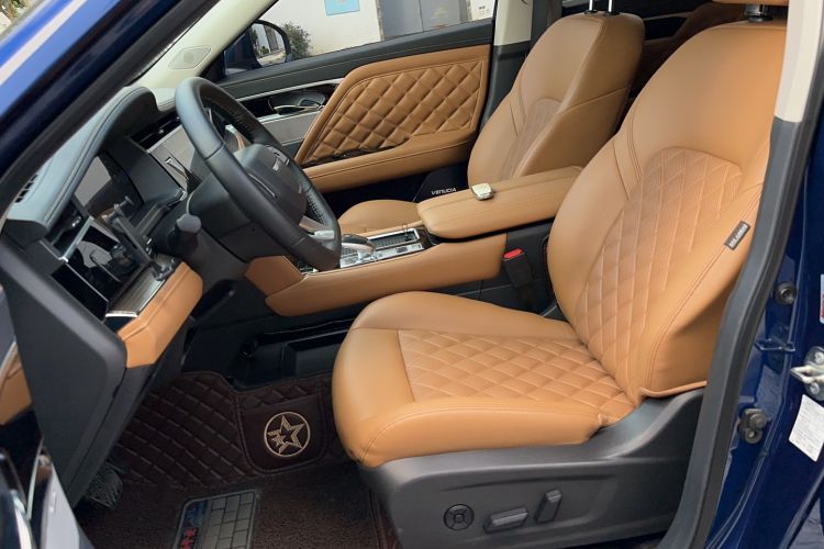 Used Venucia Star 2020 260T Automatic 48V Mild Hybrid Turbocharged Starry Edition
