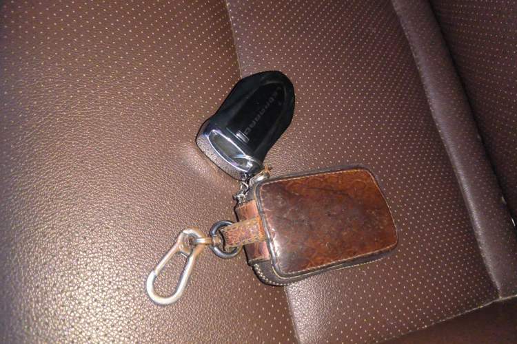 Used Leopaard CS10 2017 2.0T Automatic Urban Version
