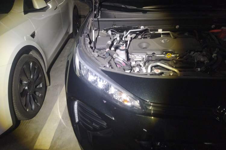 Used Toyota Wildlander New Energy 2021 High-Performance Edition 2.5L Two-Wheel Drive Powerful Version Right Front Headlight