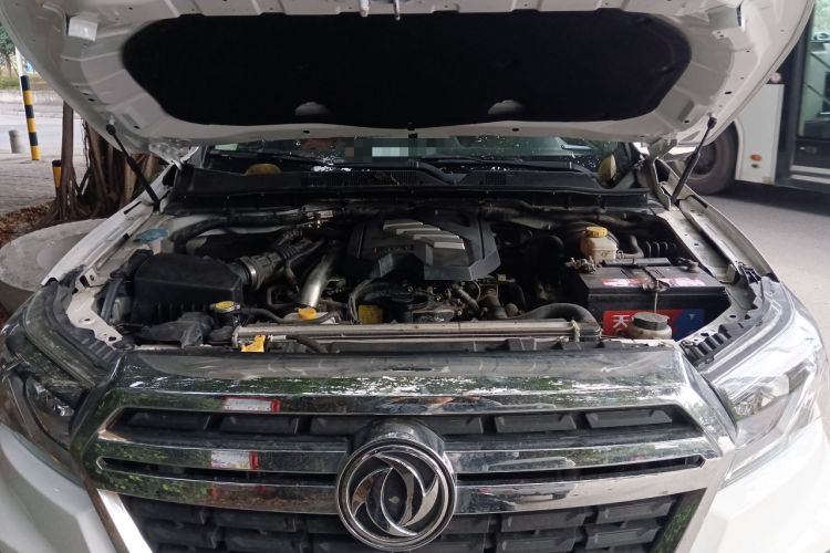 Used Dongfeng Ruichi 6 2020 2.3T Manual Two-Wheel Drive Diesel Standard Version China VI M9T