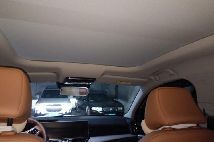 Used WM Motor W6 2021 520km PRO All-Round Edition