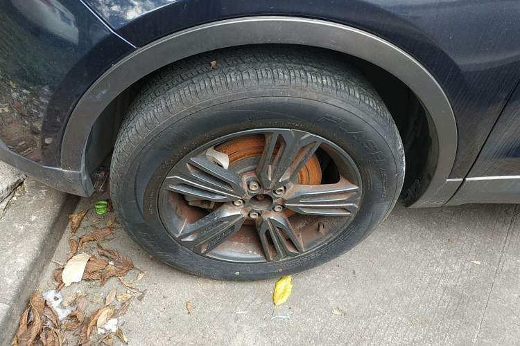 Used Leopaard CS10 2017 2.0T Automatic Urban Version