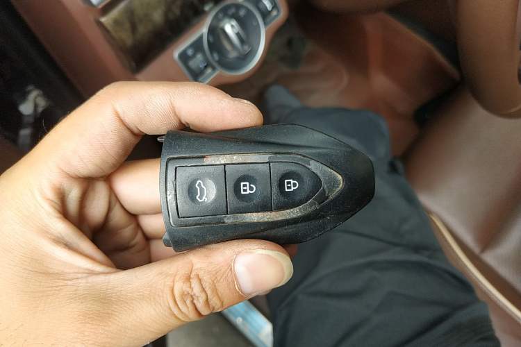 Used Leopaard CS10 2017 2.0T Automatic Urban Version