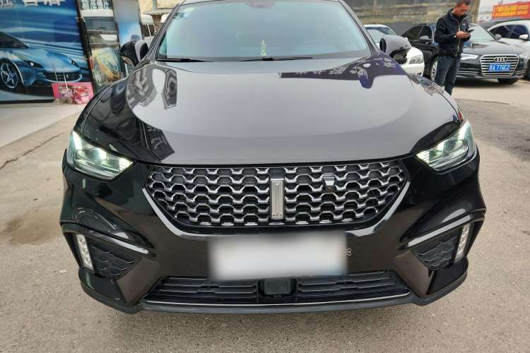 Used Wey VV5 2020 1.5T Two-Wheel Drive Color Pioneer