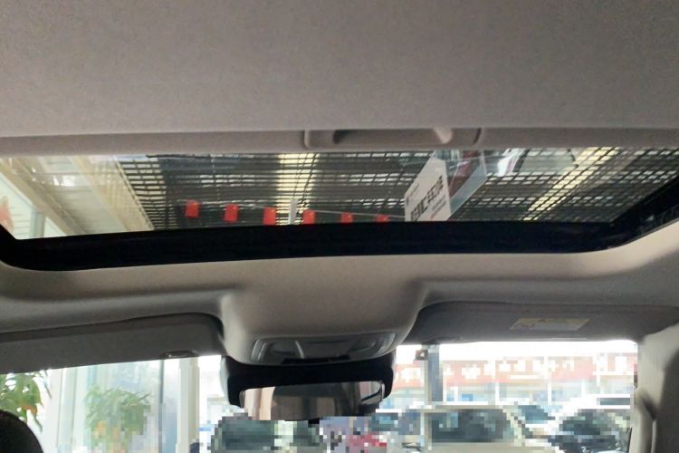 Used Tank 300 2021 Off-Road Edition 2.0T Conqueror