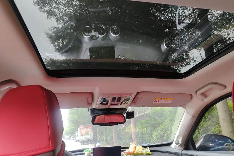 Used Wey P8 2018 2.0T Prestige Version Headliner