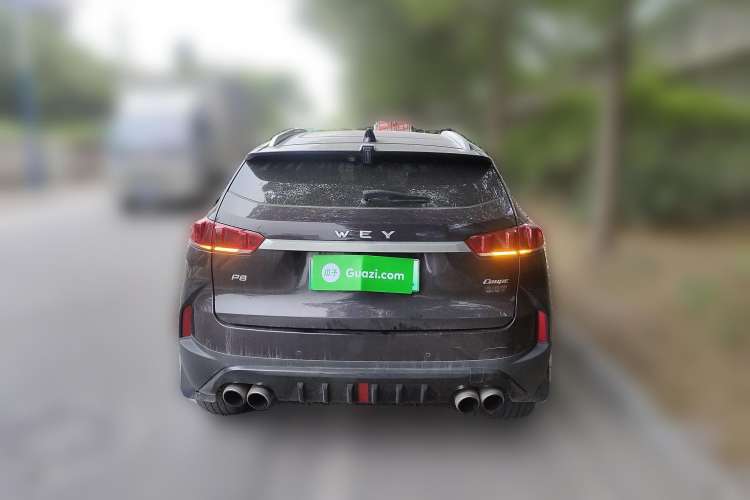 Used Wey P8 2018 2.0T Prestige Version Rear