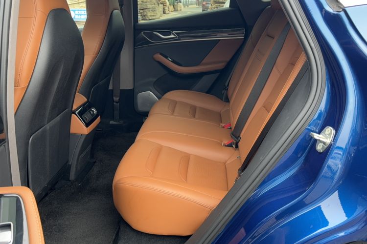 Used SERES SF5 2020 Two-Wheel Drive High-Performance Sports Edition
