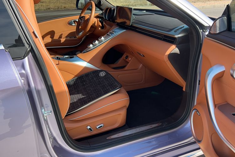 Used ORA Lightning Cat 2022 555 km Luxury Edition
