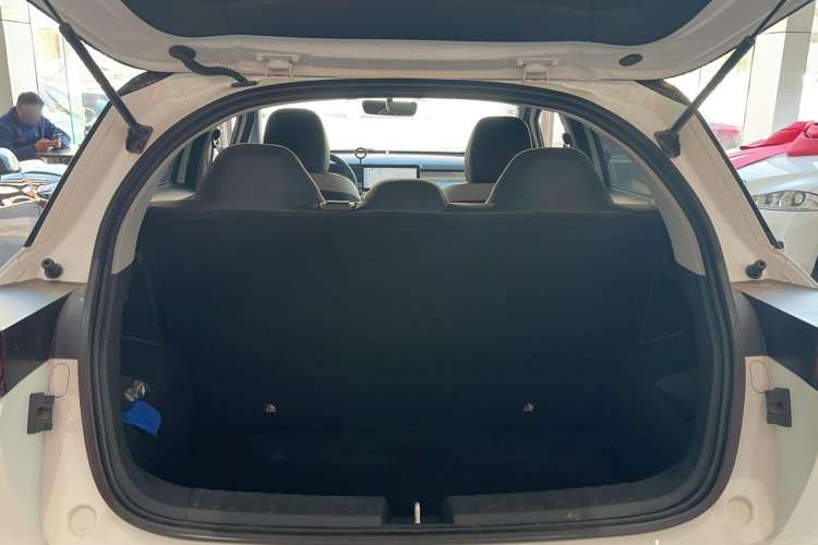 Used Geometry E Firefly 2023 401KM Linglong Tiger 5-Seater