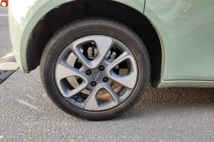 Used ORA White Cat 2022 Upgraded Model 305km Range Luxury Version Lithium-Ion Battery
