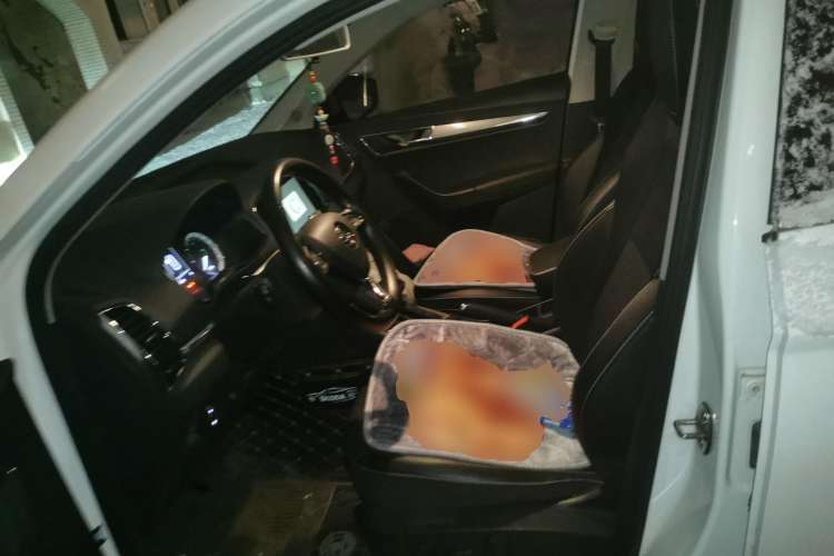 Used Skoda Karoq 2018 TSI280 Comfort Edition China V Standard Left Front Seat