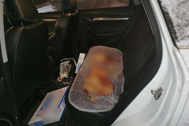 Used Skoda Karoq 2018 TSI280 Comfort Edition China V Standard Left Rear Seat