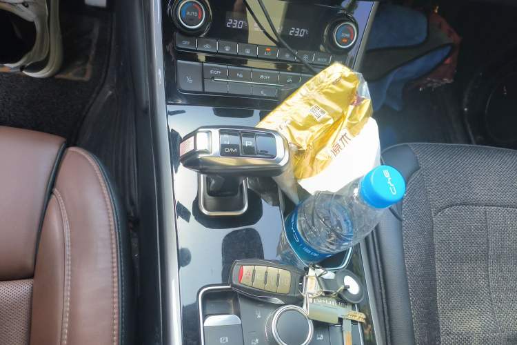 Used Haval H8 2017 2.0T Gasoline Four-Wheel Drive Luxury Model
