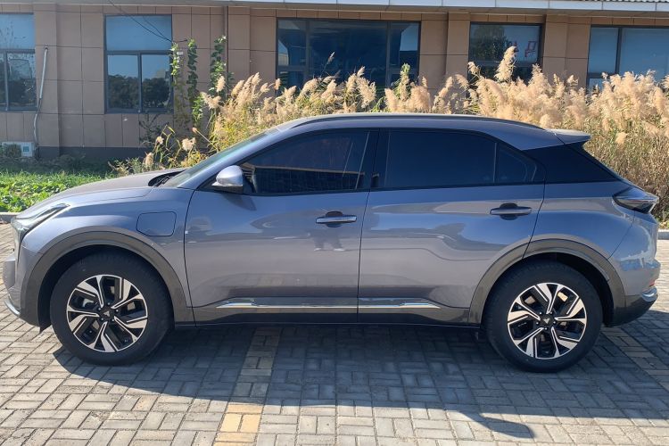 Used NETA U 2022 NETA U-Ⅱ 610 Ternary Lithium