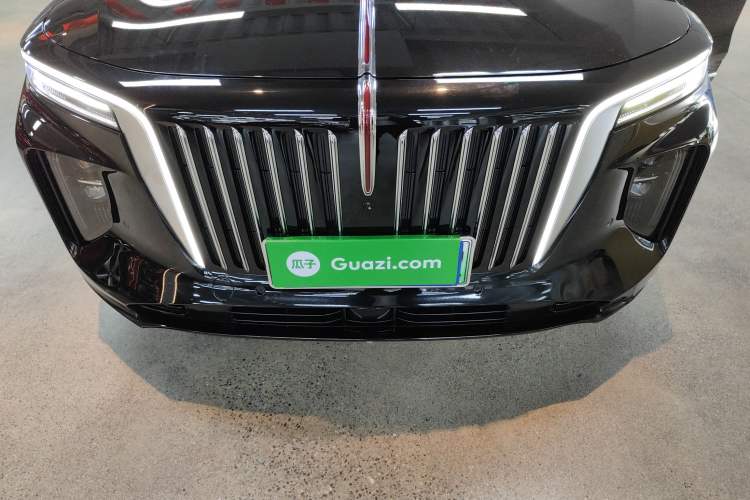Used Hongqi E-HS9 2021 510 km Range Flagway Edition Six Seats
