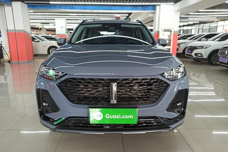 Used Wey Latte DHT-PHEV 2022 1.5T Two-Wheel-Drive Extra-Large Version
