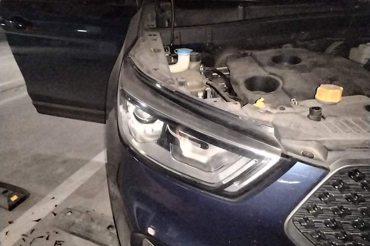 Used Oshan COS1 2020 1.5T Manual YueShang Model 7 Seats