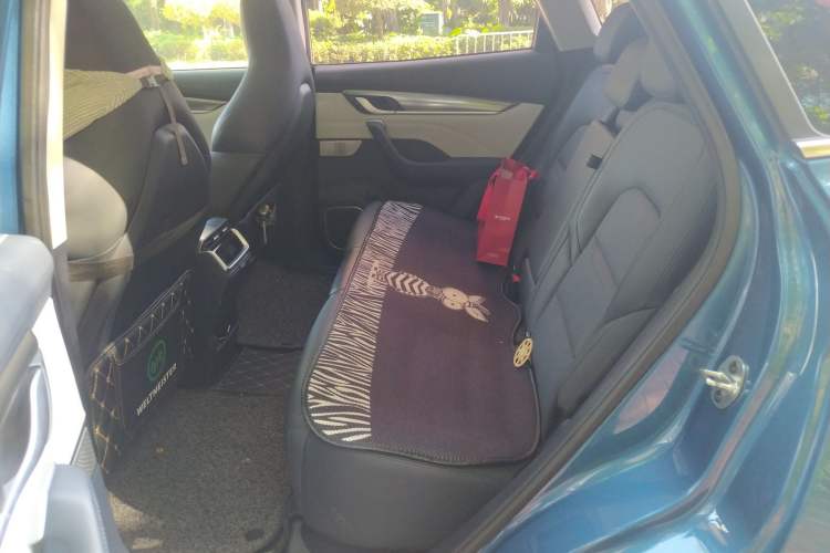 Used WM Motor EX5 2020 EX5-Z Fun Dynamic Edition