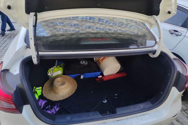 Used CHANGAN Eado New Energy 2019 EV460 Smart Edition
