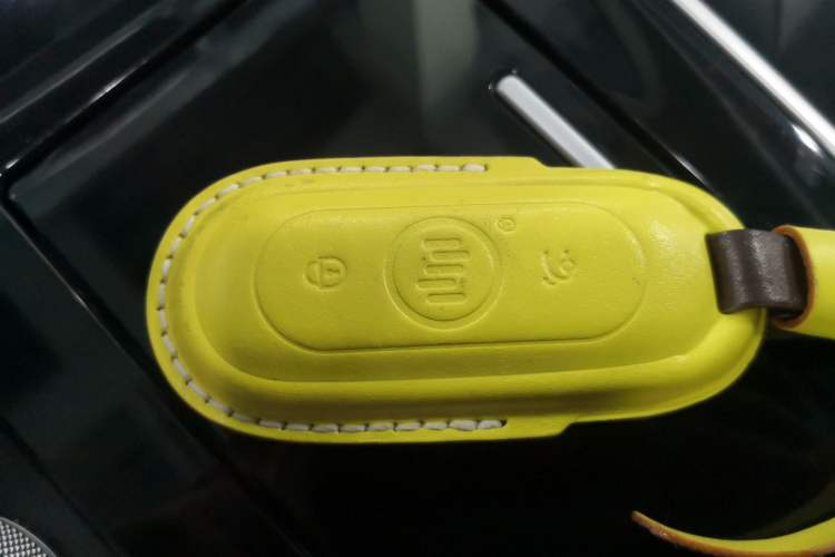 Used WM Motor EX5 2020 EX5-Z Nex Exploration Edition