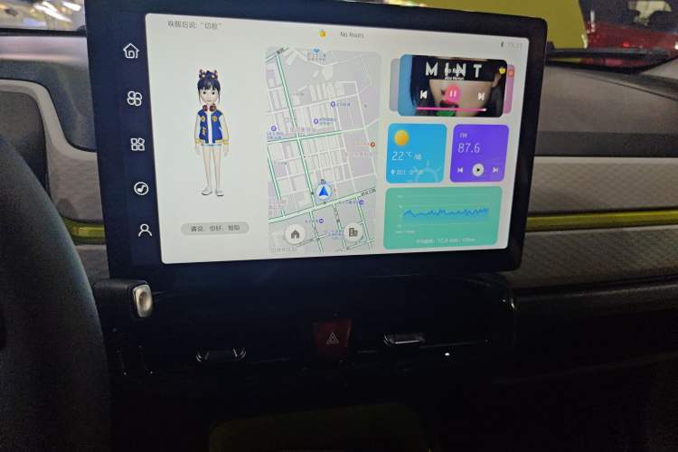 Used SOL E10X 2022 Flower Fairy Style Baby's Breath