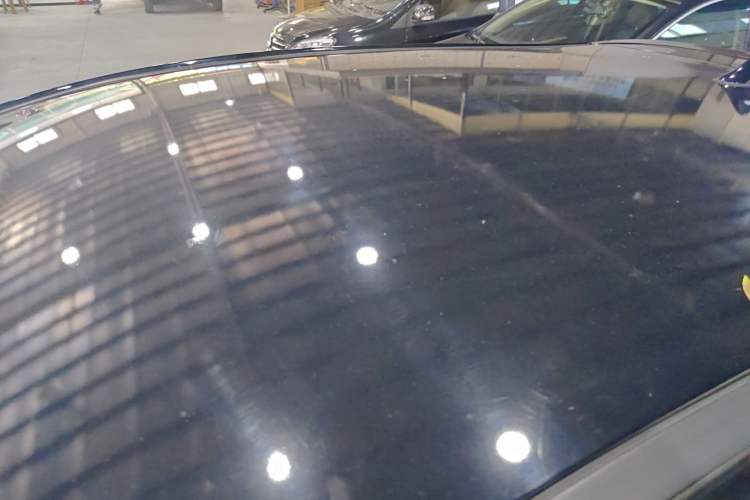 Used SOL E10X 2022 Flower Fairy Style Baby's Breath