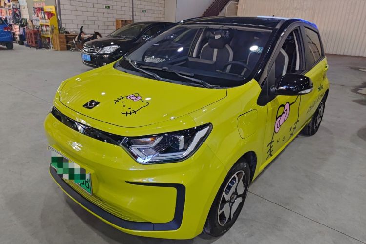 Used SOL E10X 2022 Flower Fairy Style Baby's Breath