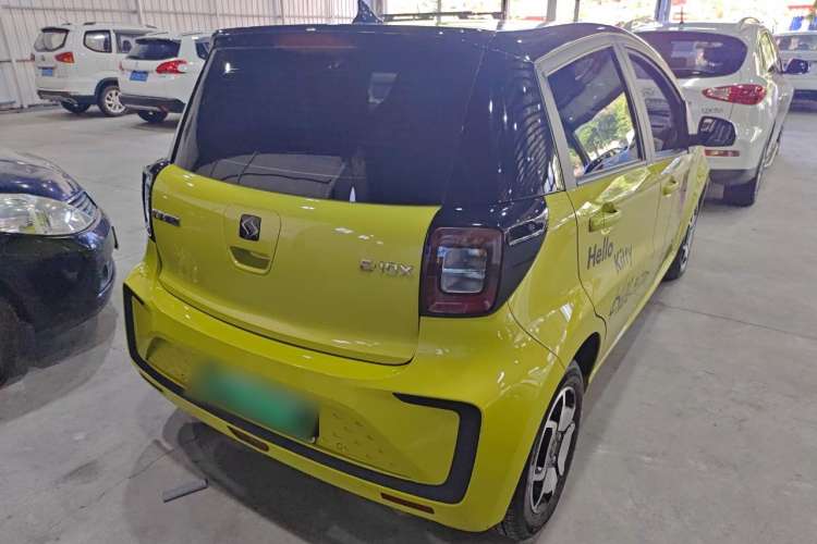 Used SOL E10X 2022 Flower Fairy Style Baby's Breath