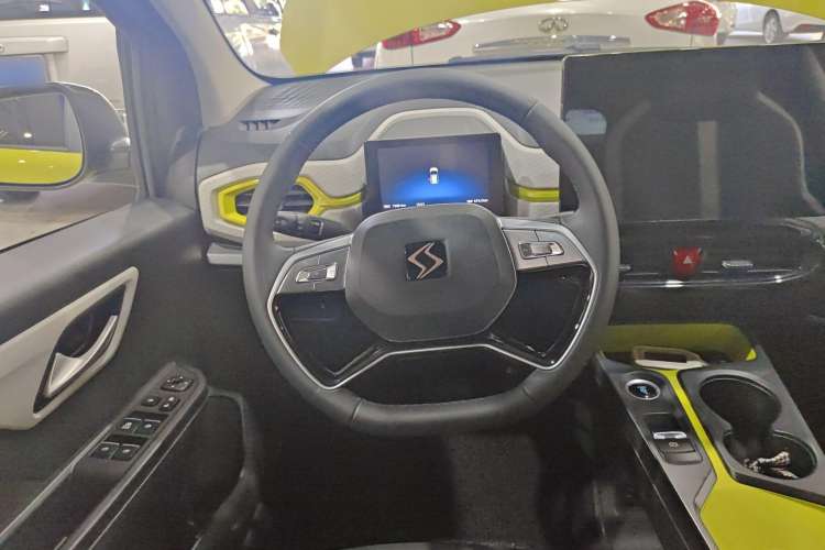 Used SOL E10X 2022 Flower Fairy Style Baby's Breath