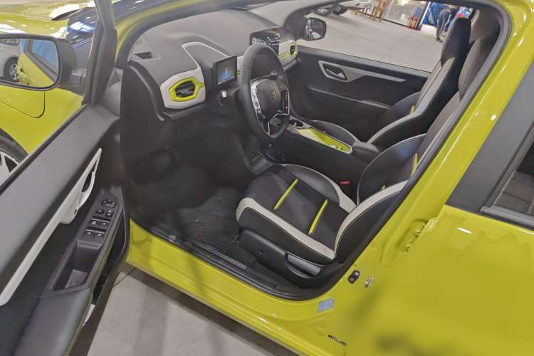 Used SOL E10X 2022 Flower Fairy Style Baby's Breath