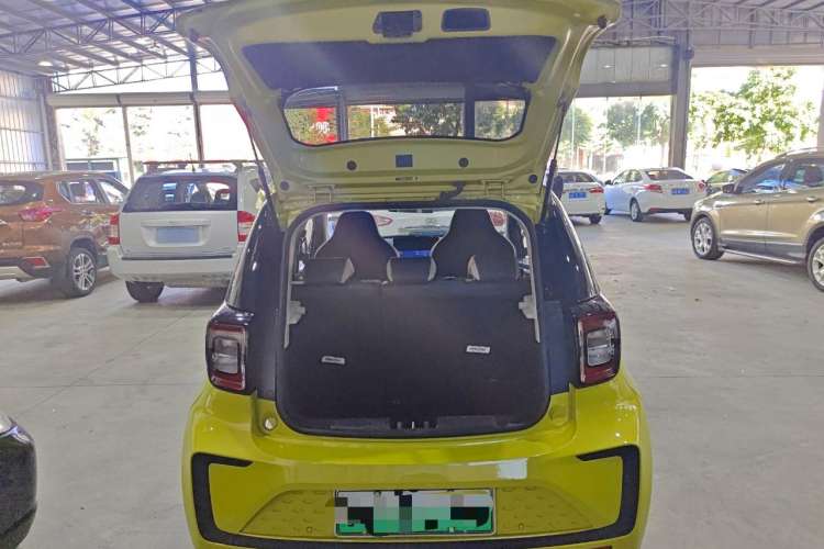 Used SOL E10X 2022 Flower Fairy Style Baby's Breath