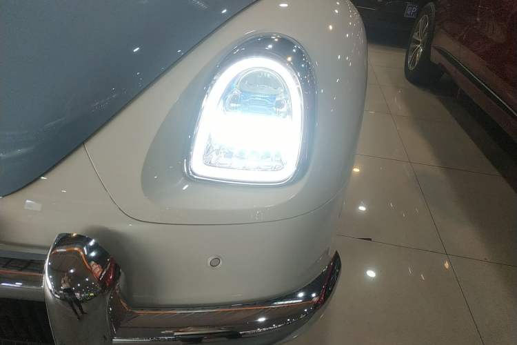 Used ORA Ballet Cat 2022 401 km Nutcracker Edition
