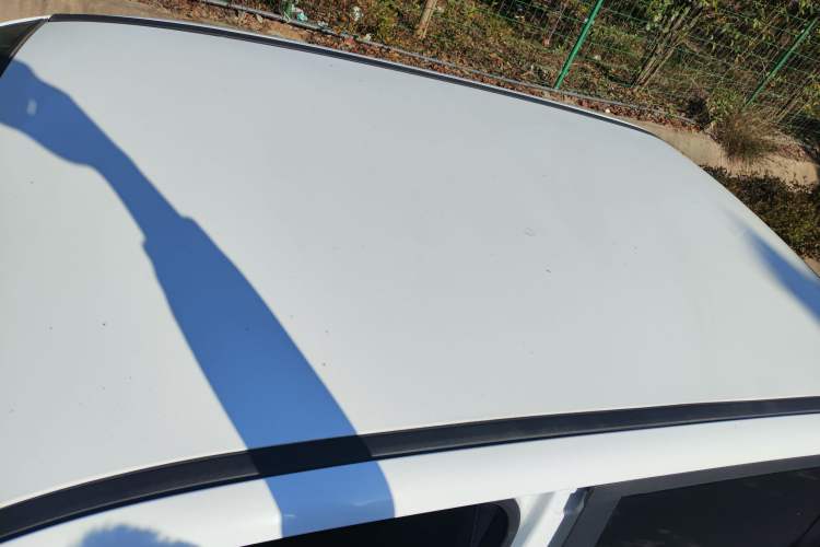 Used Pocco Duoduo 2022 Xuan Duo Duo