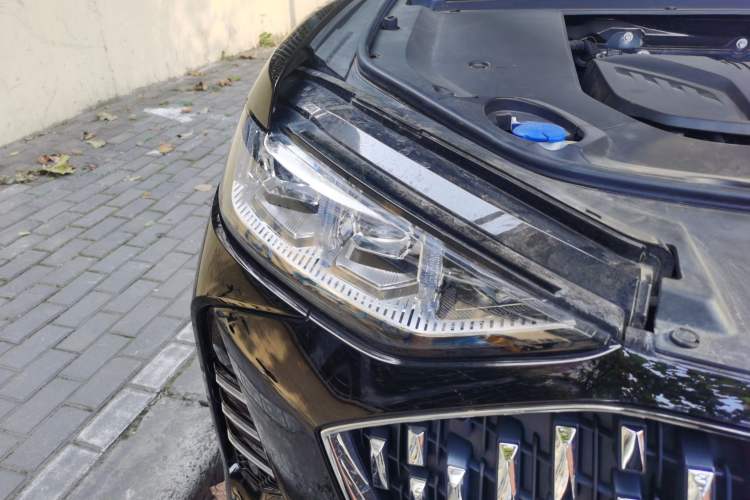 Used Wey Mocha 2021 2.0T Two-Wheel-Drive Premium Edition
