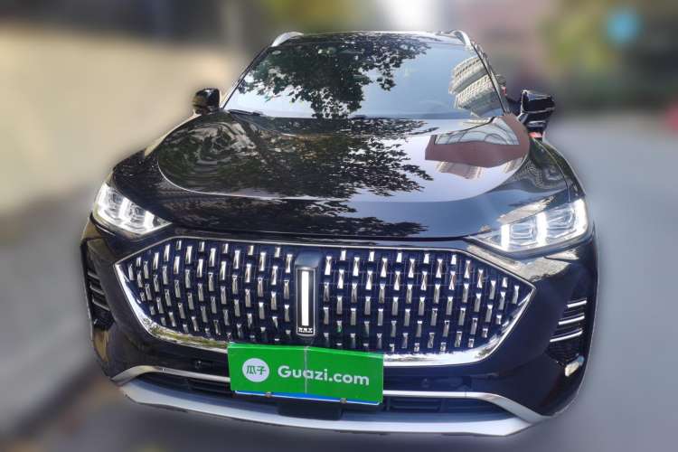 Used Wey Mocha 2021 2.0T Two-Wheel-Drive Premium Edition
