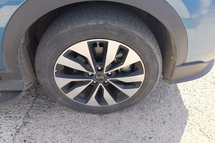 Used WM Motor EX5 2019 EX5 Lite Exploration Edition 520