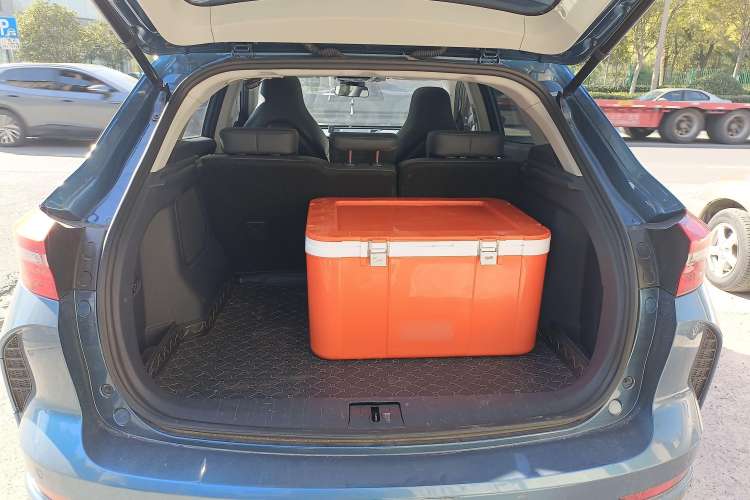 Used WM Motor EX5 2019 EX5 Lite Exploration Edition 520