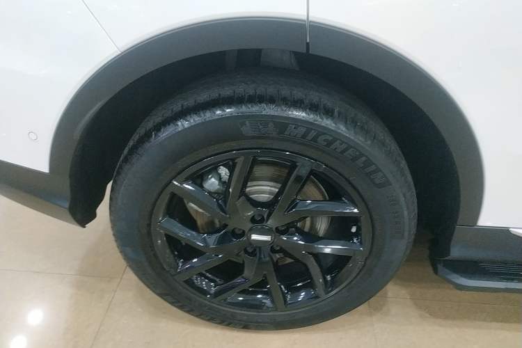 Used Wey Latte DHT-PHEV 2022 1.5T Four-Wheel Drive Extra-Large Version