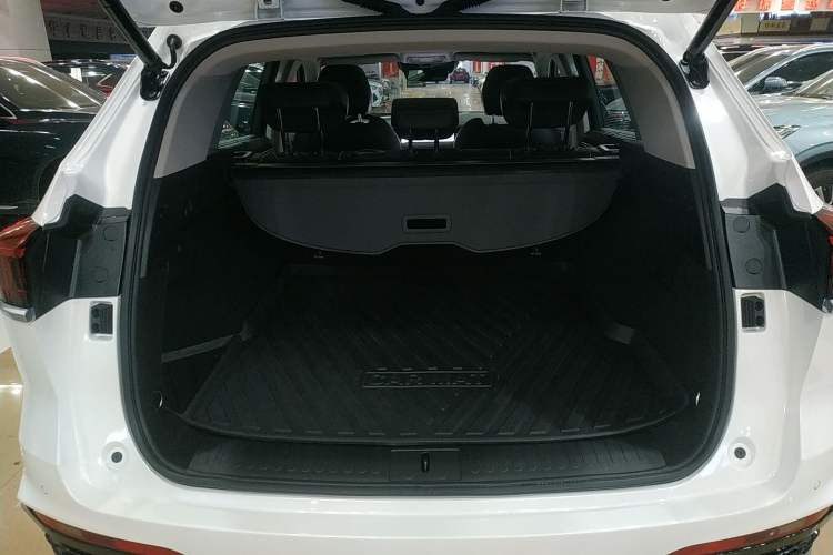 Used Wey Latte DHT-PHEV 2022 1.5T Four-Wheel Drive Extra-Large Version